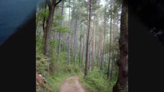 jo ho espero tot de tu