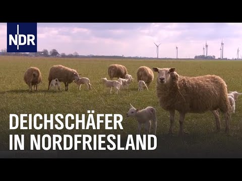 , title : 'Zwischen Flaschenlamm und YouTube | Die Nordreportage | NDR Doku'