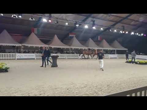 Dom Pérignon van't Vispluk (U2 T&M x CONTACT VD HEFFINCK) - Video 4 video thumbnail