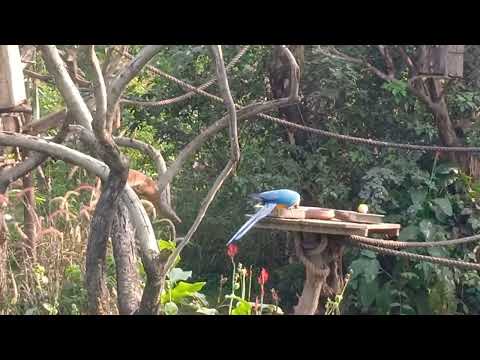 Bird park at CHD (4)