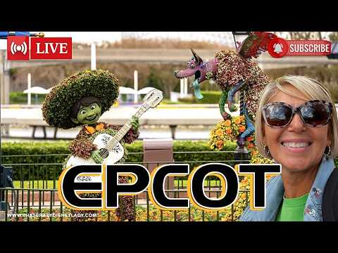 Live webcam of That Crazy Disney Lady