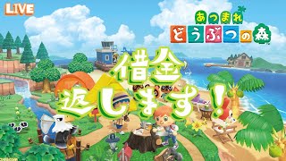 【２回目】おいたぬき！金とマイルを貯めたぞ！