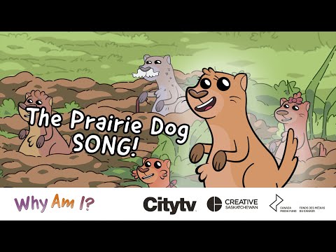 Why Am I - Prairie  Dog Song - Fun Song For Kids