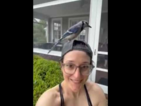 Don and Diane Shipley LIVE  June 28th at 1800 East Coast Time Thumbnail