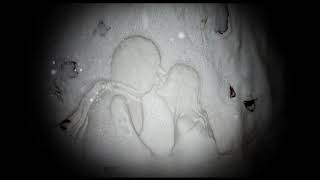 Kate Bush - 50 Words For Snow