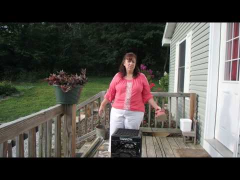 download lagu mp3 mp4 Primitive Signs, download lagu Primitive Signs gratis, unduh video klip Download Primitive Signs Mp3 dan Mp4 Music Gratis