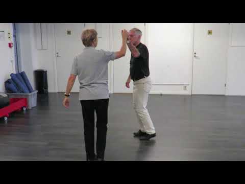 Kalle P, Lotta och Tvillingarna