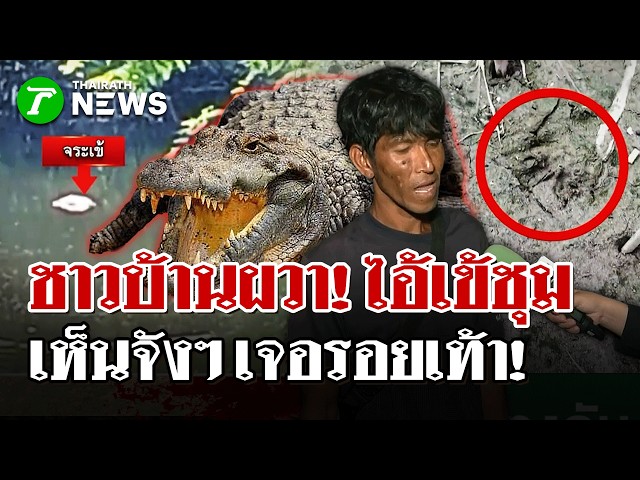 ไทยรัฐบุกพิสูจน์ "ไอ้เข้" โผล่ใกล้ชุมชนเห็นจังๆ ลอยน้ำ | 19 ต.ค. 69 | ไทยรัฐนิวส์โชว์