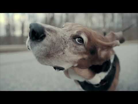Video thumbnail for ​Don’t Panic (Interlude)