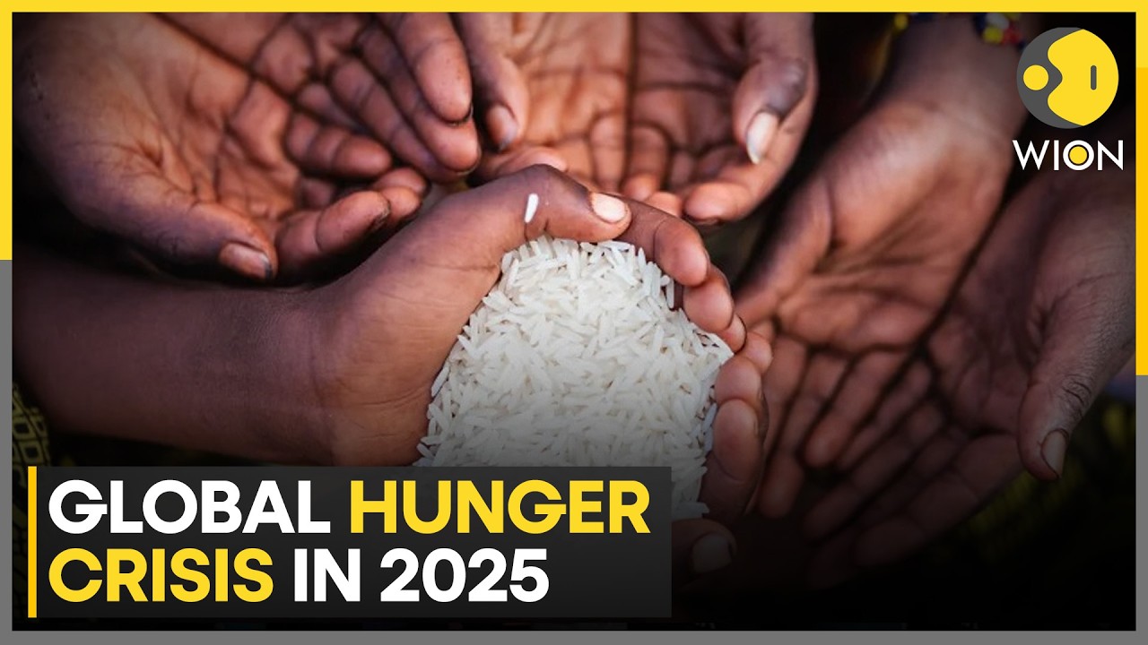 Report: 39 MN+ People Faces Emergency Levels of Food Insecurity | WION