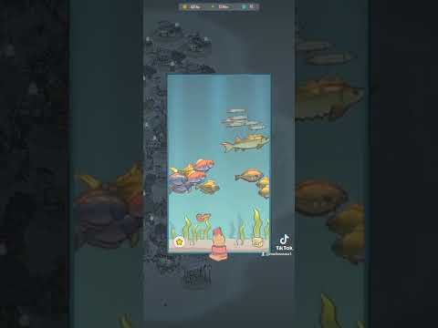 @kittypawpaw Minha evolução no gatos e sopa! Como estou agora depois de quase um mês de jogo.