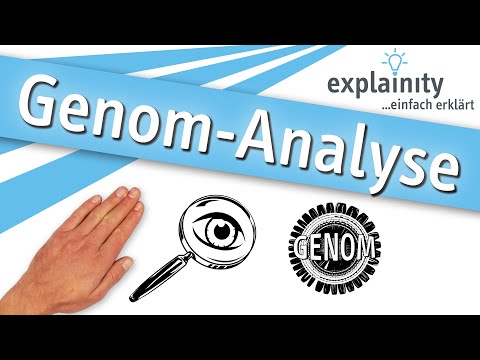 Genomanalyse – einfach erklärt
