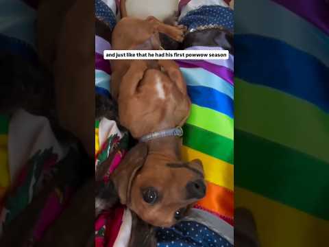 and just like that he had his first powwow season