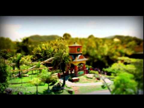 MXGP of Brazil 2013 - Postcard - Motocross