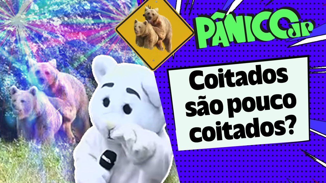 CUIDADO: ANIMAL NA PISTA! SÓ SE FOR NA PISTA DA BALADA? URSO EM PÂNICO COM AMOR SELVAGEM NA PAULISTA