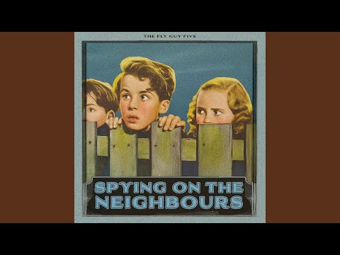 Spying on the Neighbours