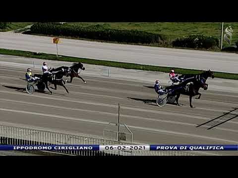 Aversa trotto 6 Febbraio 2021 - Prova di qualifica