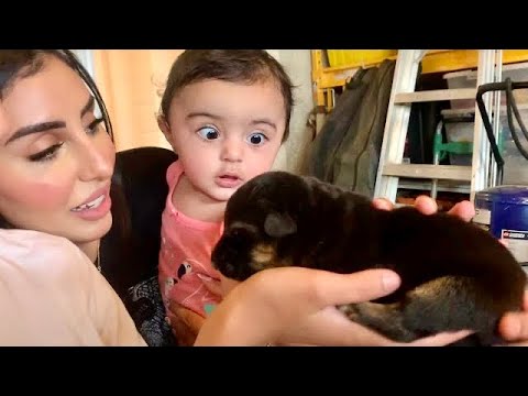ZAIRA WANTS A PUPPY ! 🐶 The Zaid Family