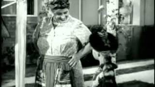 hasidic new wave: tzur mishelo