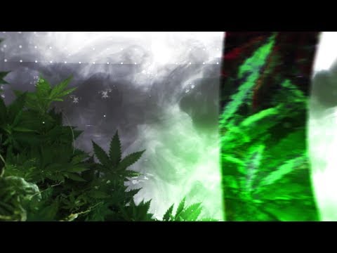 Berner & B-Real - Midnight Flights (feat. Baby Bash & Trick Trick) (Visualizer)