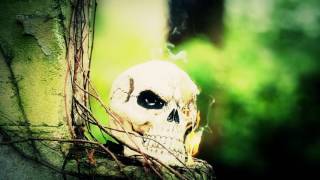 Mastamind Like the Rest