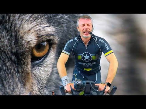 Trailer Lezione 18 Palestra virtuale - Epic Wild Power&Strenght - Indoor Cycling - Group Cycling
