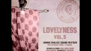 6- Hecho en Casa - Lion Sitté & Ti Polosound (mixtape - Lovelyness vol.5)