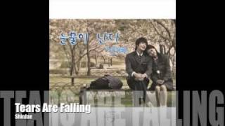 49 Days (OST)[part 8] Tears Are Falling - ShinJae and lyric