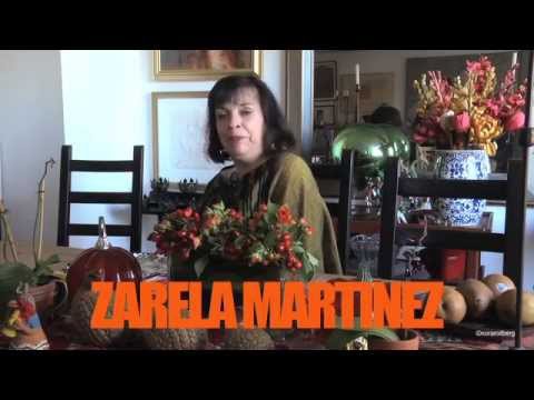 Sad songs from a happy heart = Indiegogo campaign