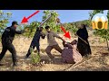 Farhad Caught In The Middle Of Nazanin And Keramat S Crisis