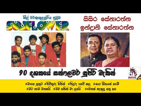 Old Sunflower with Sisira Senarathna & Indrani Senarathna #sisira_indrani #oldsunflower