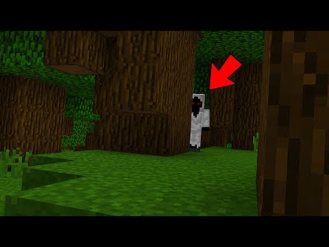 È APPARSO ENTITY303 NEL MIO MONDO VANILLA!! (Roleplay)