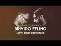 Mina e Celentano - Brivido felino (South Disco Gheng Remix)