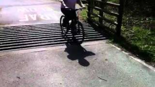 preview picture of video 'Cattle grid Mawddach Trail'