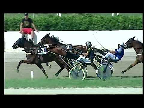 Napoli Trotto 09/09/2022 - 1ª corsa