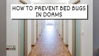 How to Prevent Bed Bugs in Dorms