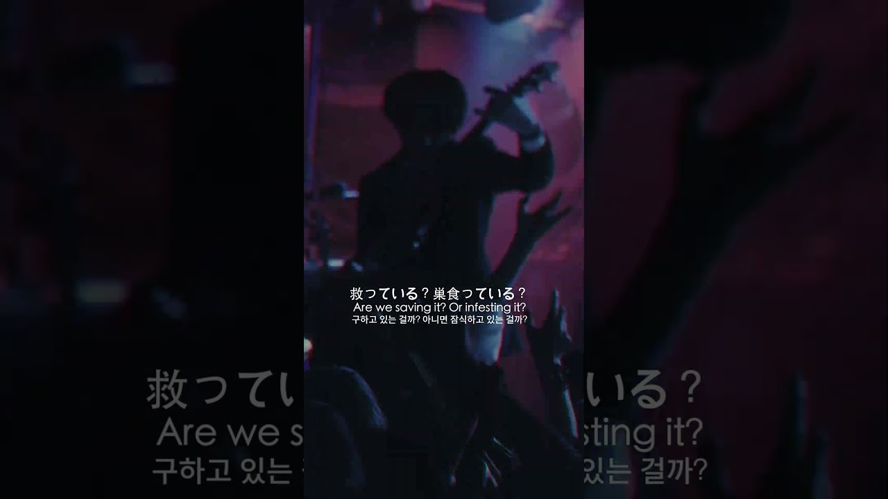 AmAmp[NU TOKYO] #amamp #ライブ