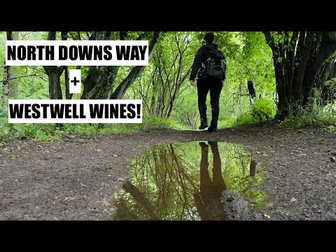 North Downs Way 4 Mile Walk to Westwell Vineyard