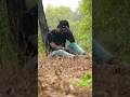 A Gida A Miru Ontor Mali New Santali Status Video 2023 Albinus Status Santali