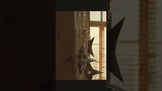 Download lagu Ninja Assassin Fight Scence mp3 Download lagu Ninja Assassin Fight Scence mp3