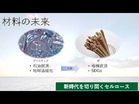 【理工学部】新時代を切り開くセルロース
