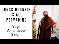 Consciousness Is All Pervading Yogi Amandeep Singh