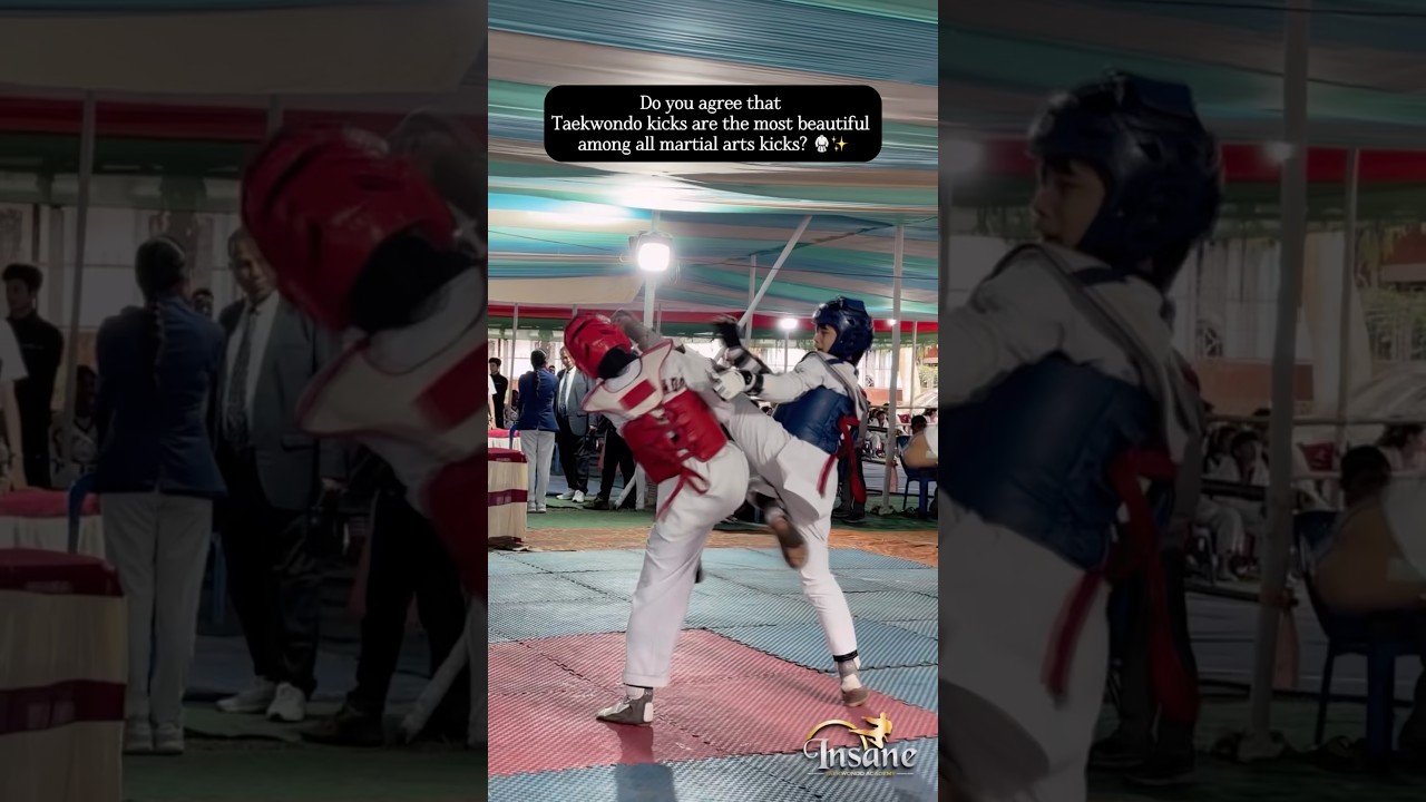 Taekwondo Kicks are the most Beautiful 😻 are you agree that?