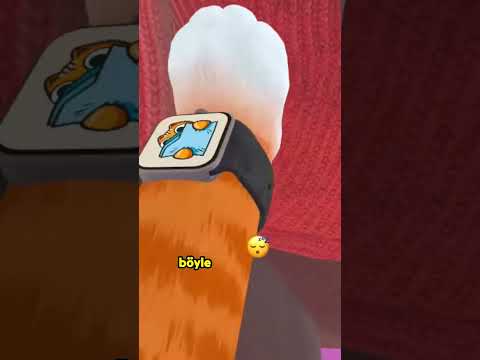 Babaannem uyurken koltukta neler yapıyor? 😄 #vr #vrkedi #selami #iamcat