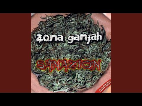 Fumando vamos a casa (feat. Manuel)