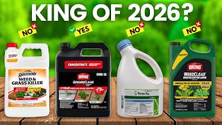 6 Best Weed Killer 2026