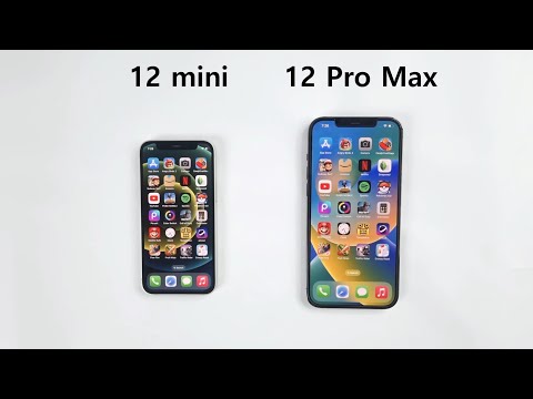 iPhone 12 mini vs iPhone 12 Pro Max - 2024 Speed Test!