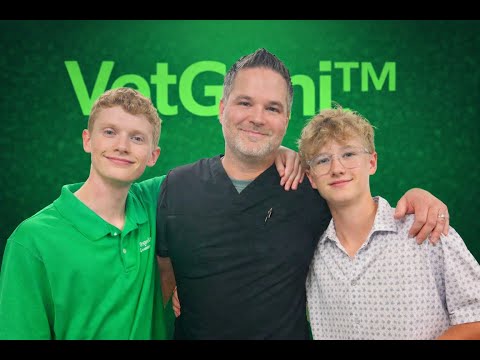 VetGeni's Summarizer Feature thumbnail