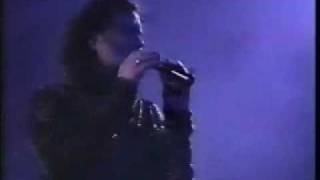 duran duran palomino LIVE 1989