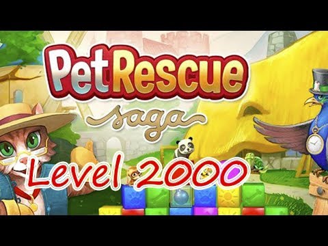 Pet Rescue Saga Level 2000 (NO BOOSTERS)